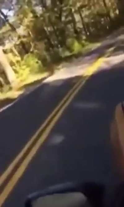 car surfing ?