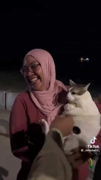 The way the cat act like a little baby