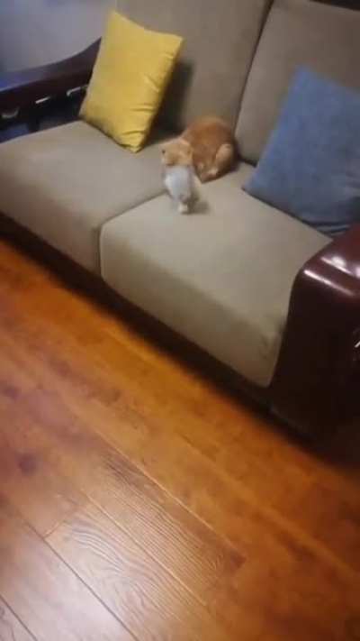 Mad skills