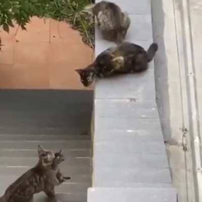 Not leaving anyone behind ??