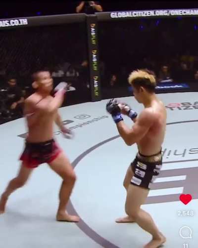 Still standing after eating multiple side kicks