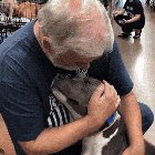 The "just adopted" look that Walter the pup has