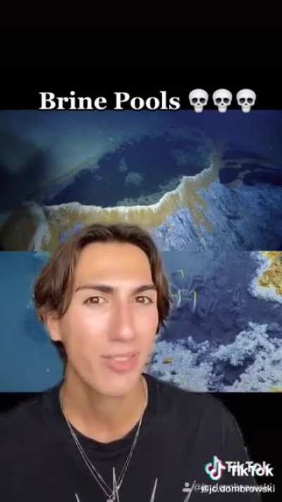 TW: thalassophobia