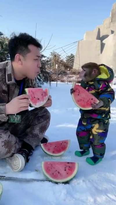 A funny little monkey.