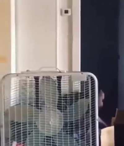 Wannabe rapper playing Russian roulette at home