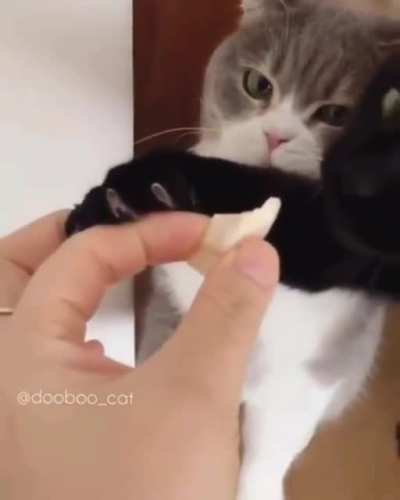 Slow-mo steal.
