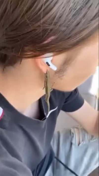 Organic earing