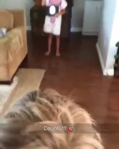 to hit the target