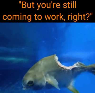 "If you don't show up, you are FINished with this job!"