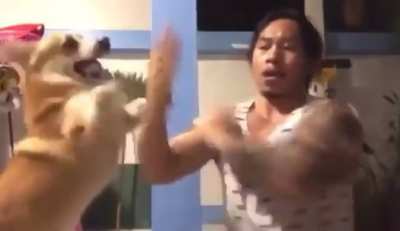The way this guy plays with his dog