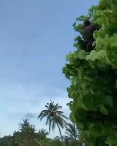 Beautiful execution, terrible landing