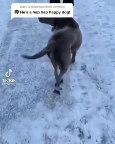 Happy guy