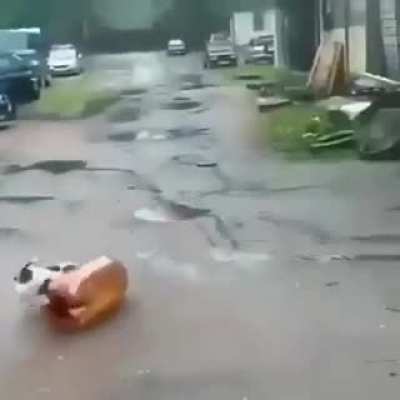 He looked so happy...