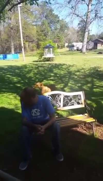 Dog doesn’t recognize owner after weight loss until he sniffs him.
