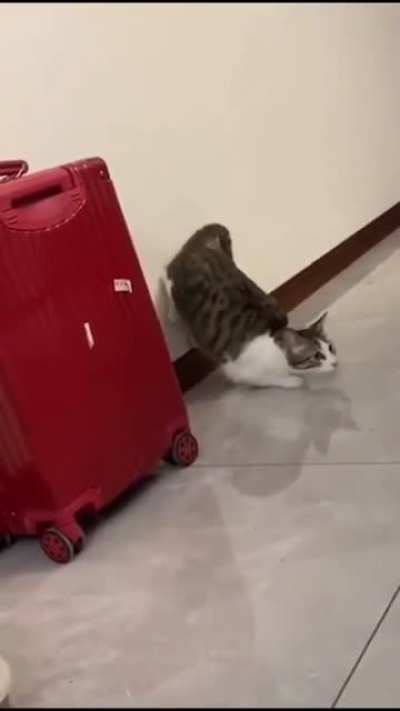 Go go go go... no