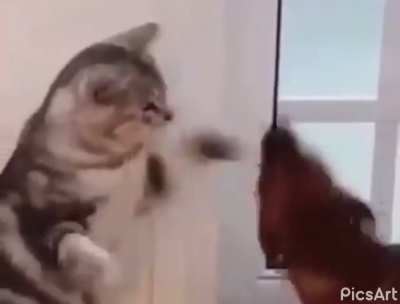 And it’s Kitty Tyson!