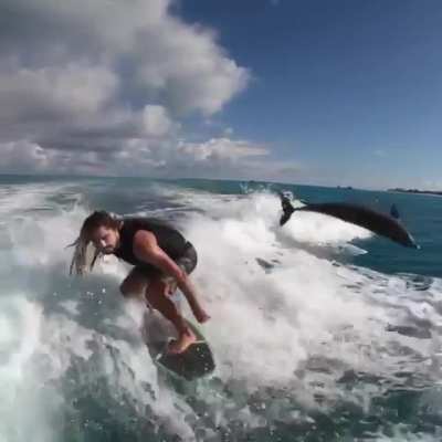 Wake surfing with Dolphins