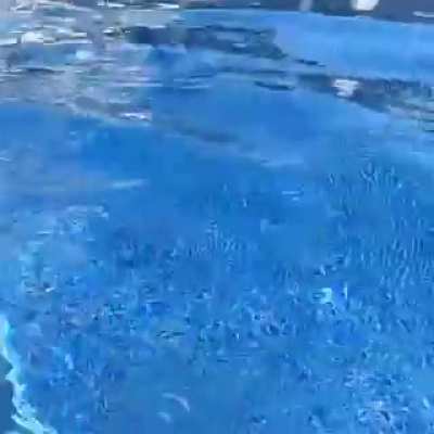 I just realized that I don't know how to swim