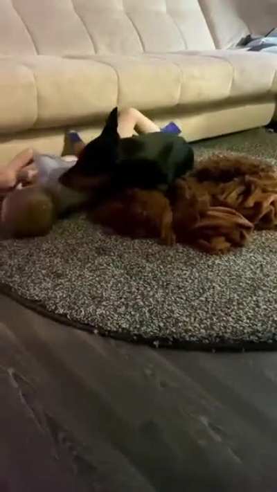Couch cage death match