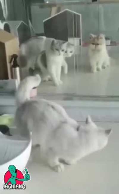 ?