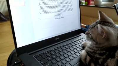 Lending a helping hand.. Later he actually managed to delete an important chunk of code