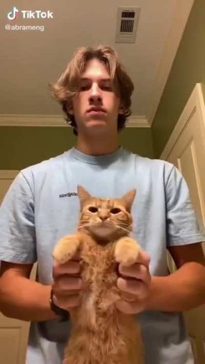 My attention’s on the cat