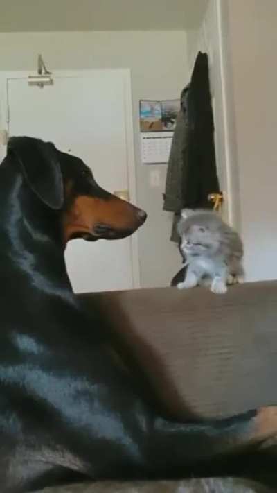 Tap tap