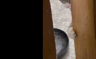 Tap tap… Creak