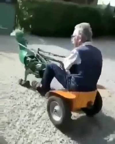 A bird-like engine.