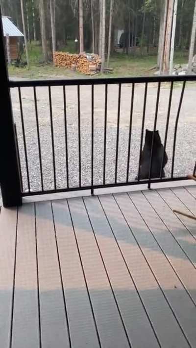 To enjoy the view