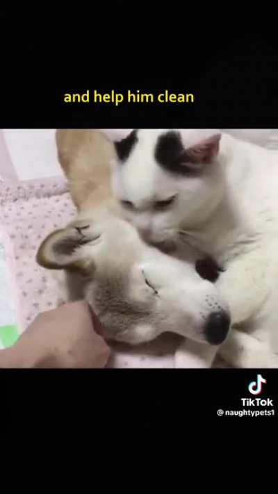 I will catch you when you fall