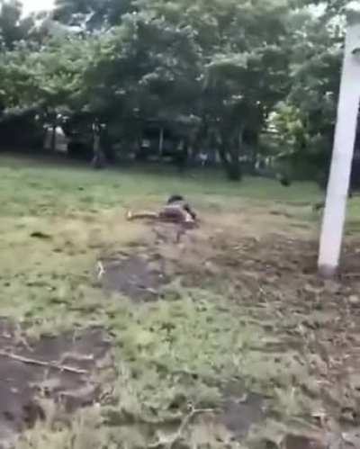 Catch the frog