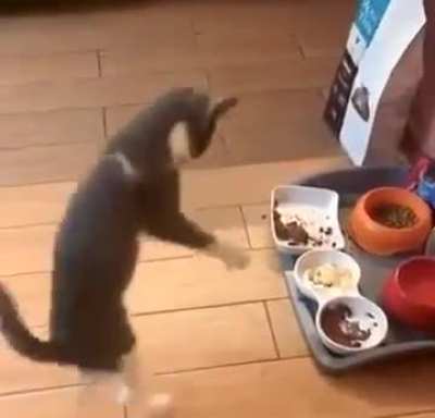 Ermahgerd... snacks are alive