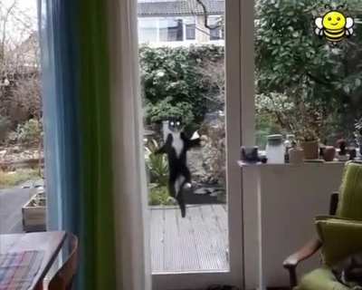 Mom. let me in...!