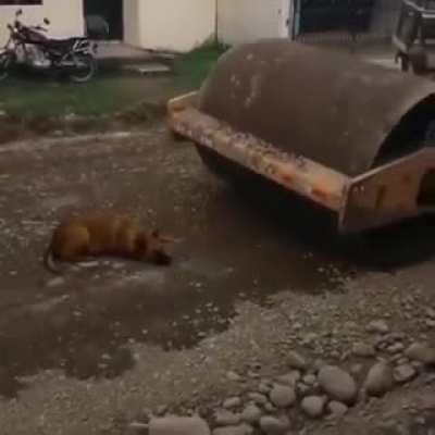 Get out of my way