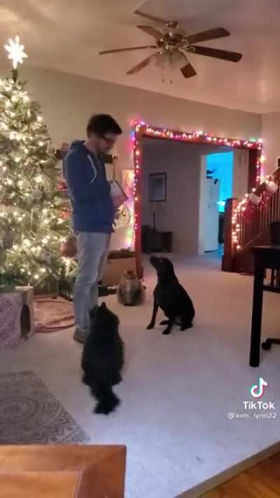 Pet of the week ceremony