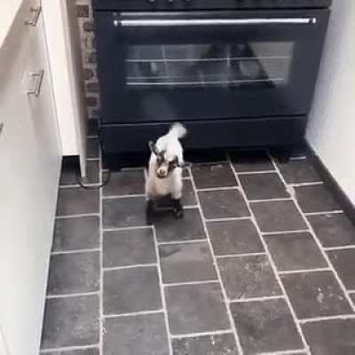 Oh, um... Hello.