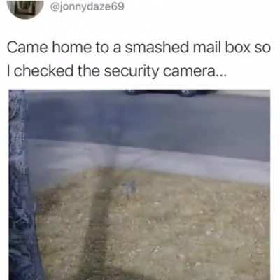 Mailman goes brrrr