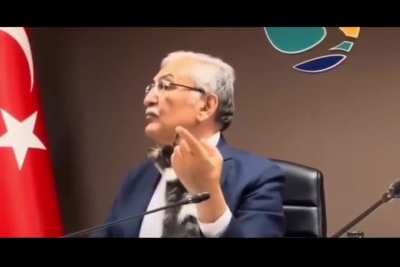 Cats in political meetings? Nothing out of ordinary in Türkiye.