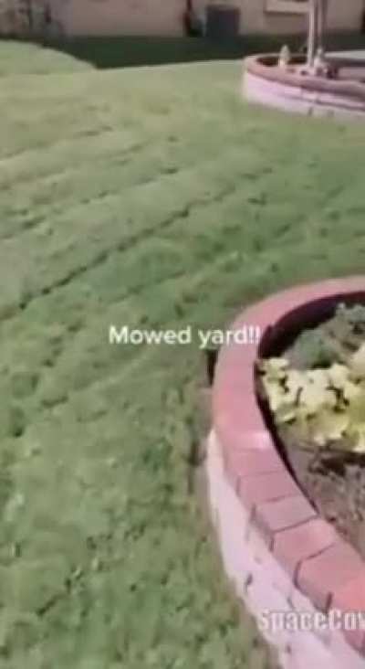 poor immigrant not getting payed by white woman for garden work