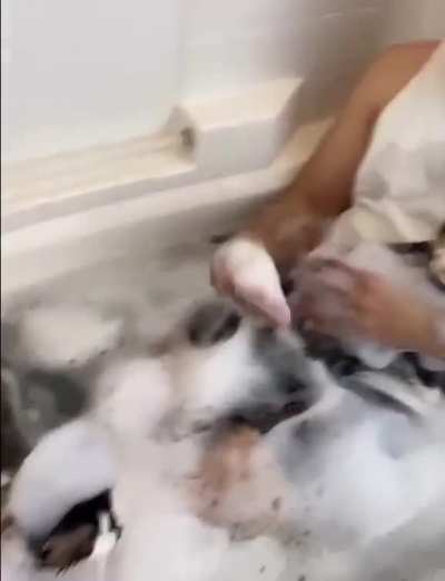 ?