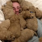 This man has found the meaning of life
