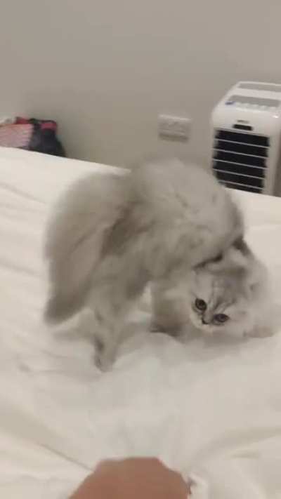 Practicing for halloween
