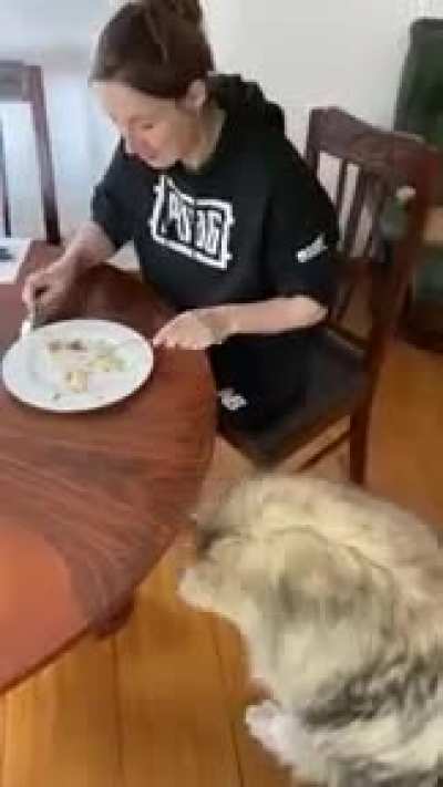 Where’s the food
