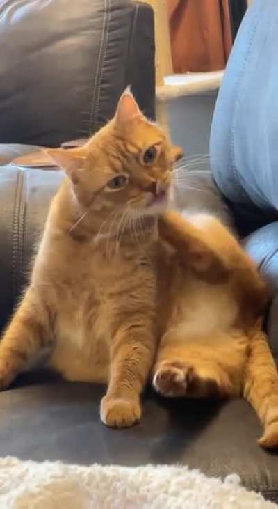good scratch