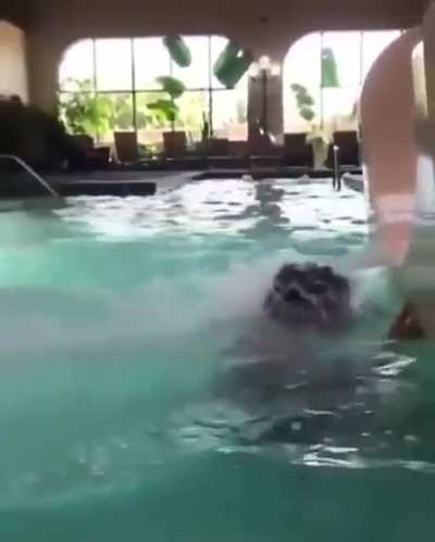 At the water slide