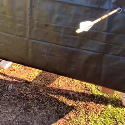 Ring pinned to target and arrow shot through ring.