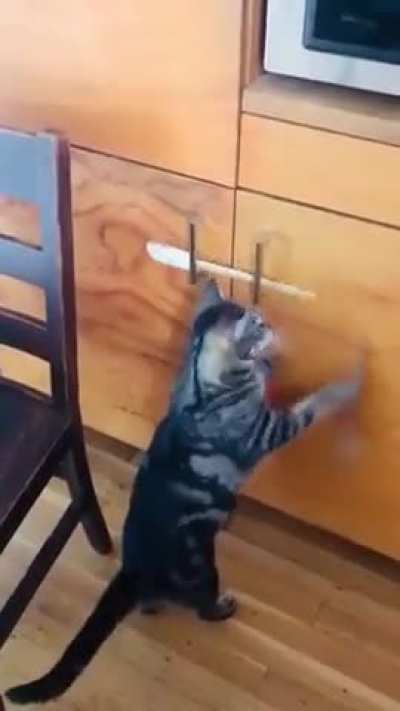 Very smart ?