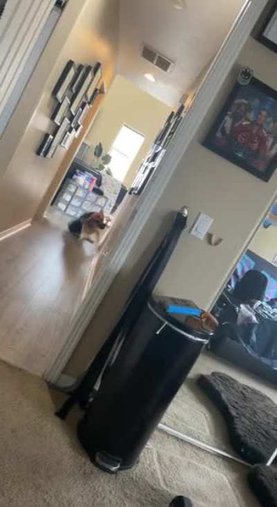 My puppy Jett being a dork