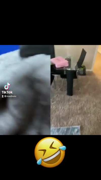WTH???